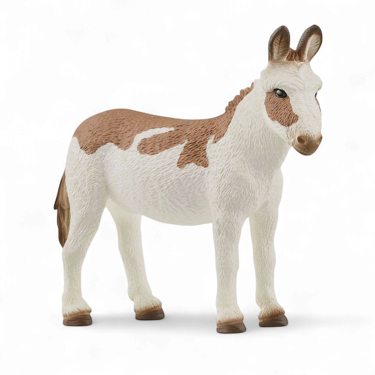 American Spotted Donkey