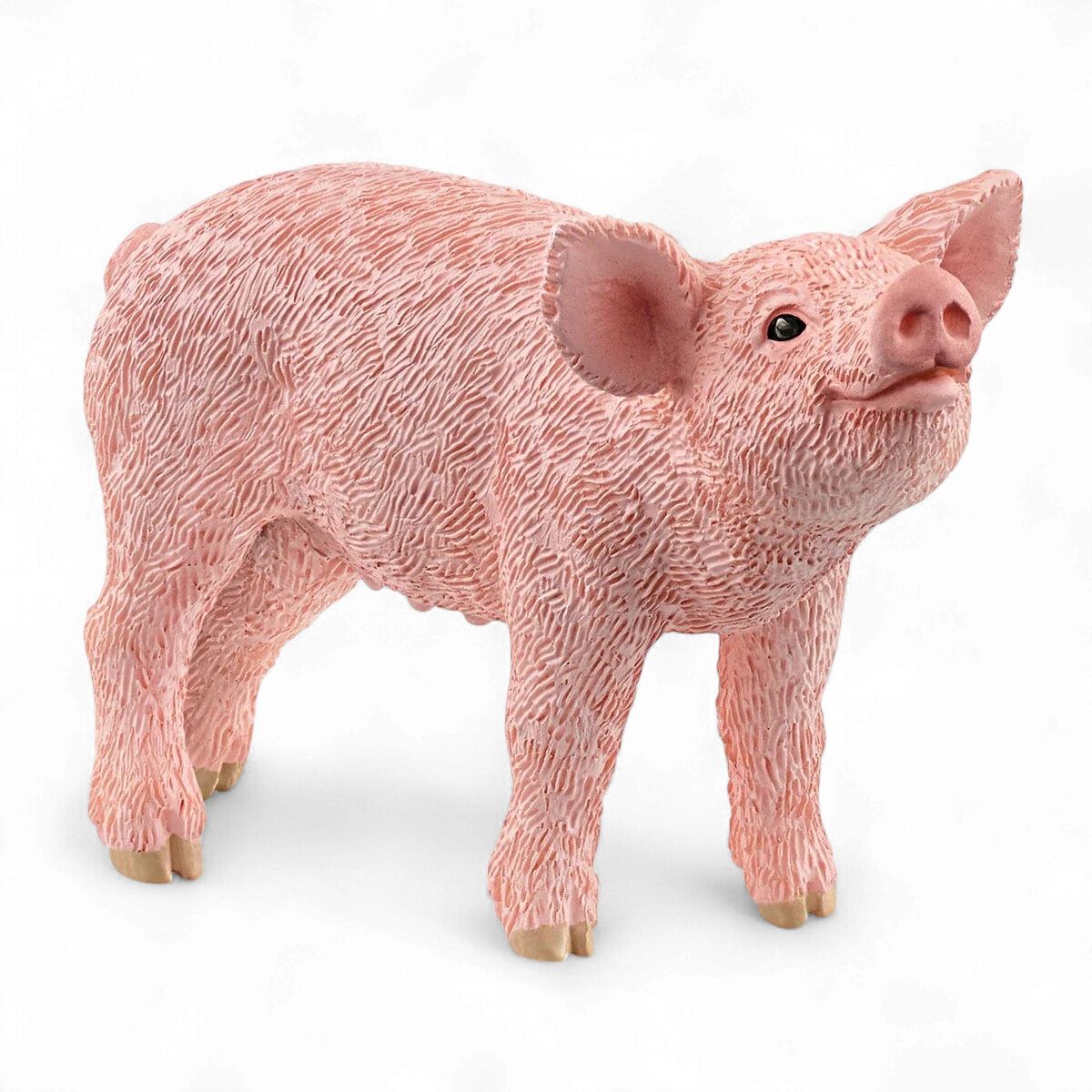 Piglet, Standing