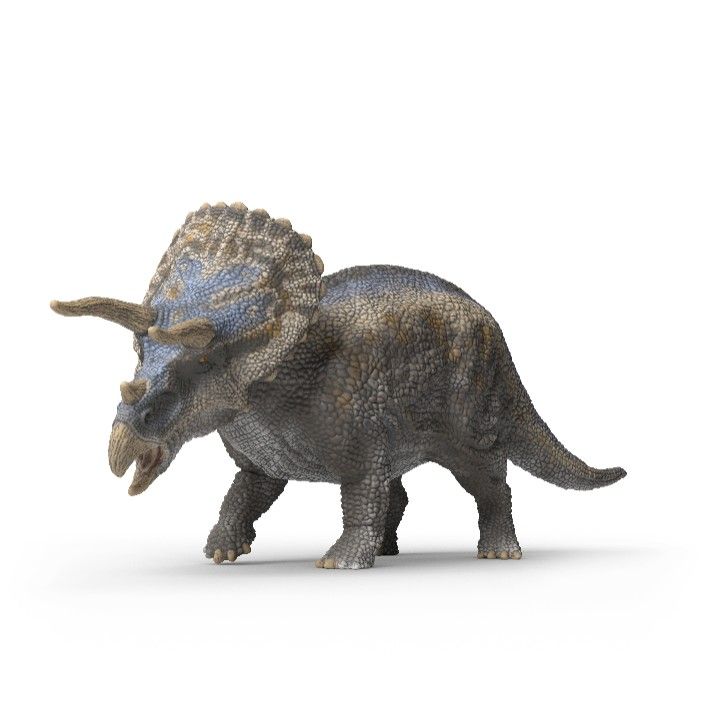 Triceratops (grey)