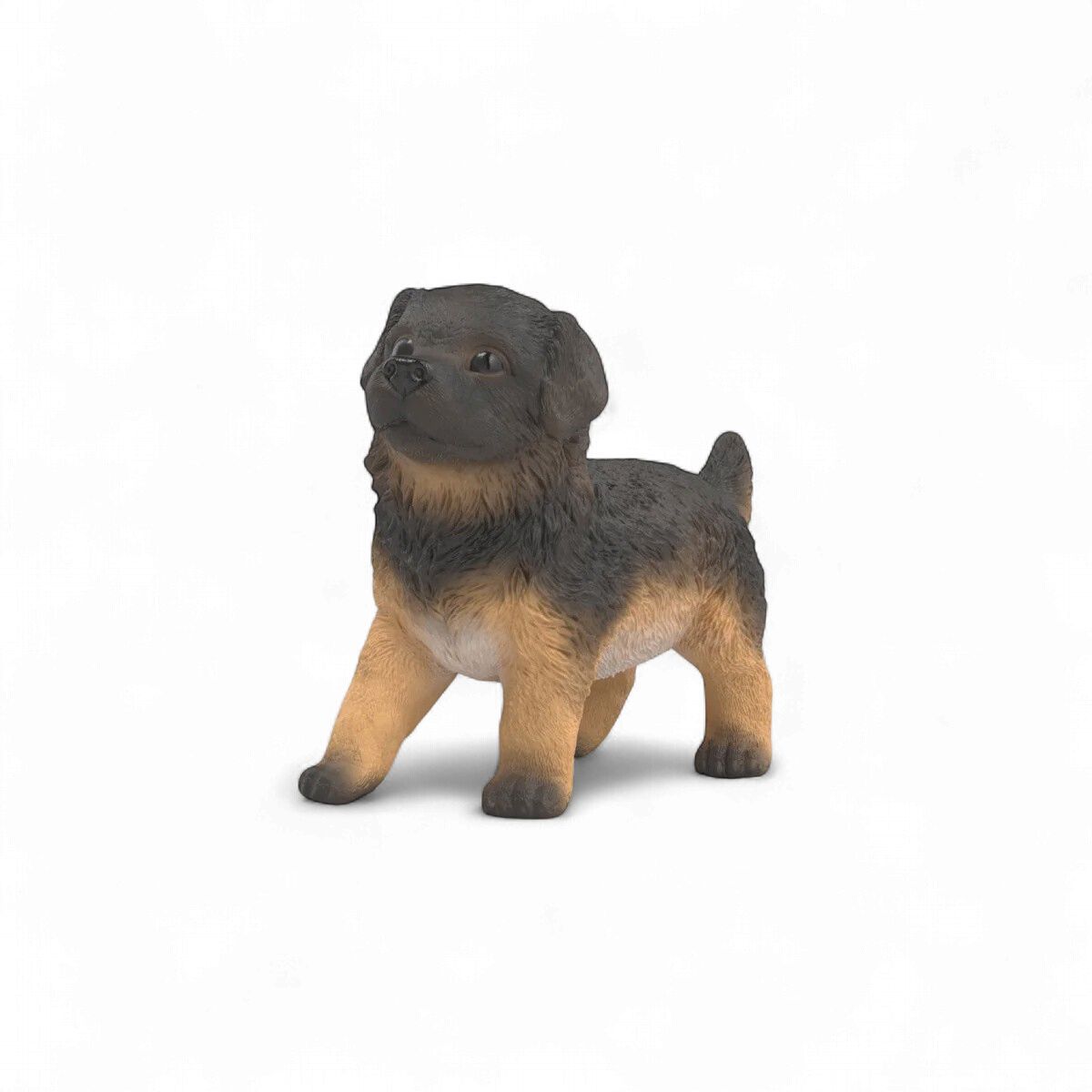 German Shepherd Puppy