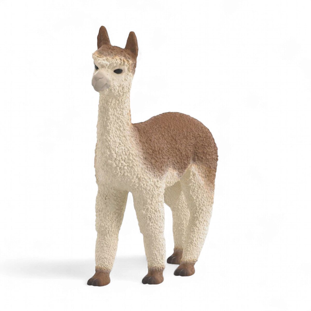 Alpaca