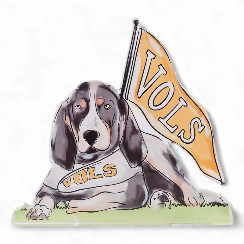 Tennessee Smokey Acrylic Stand