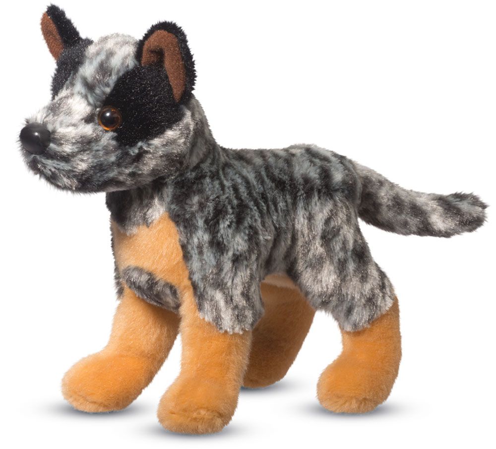 Clanger Australian Cattle Dog