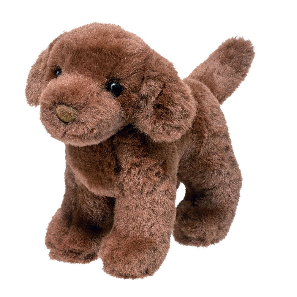 Sylvia Chocolate Lab