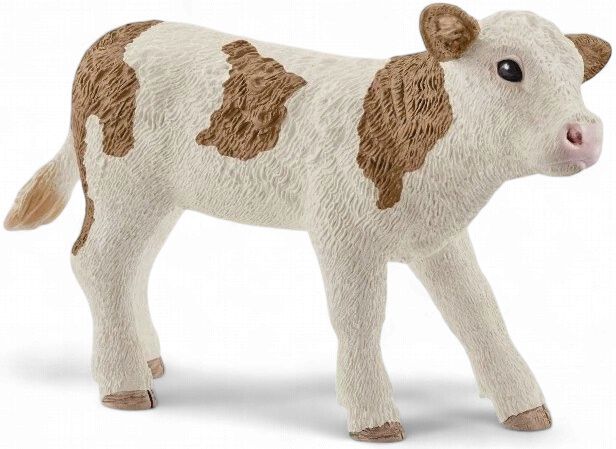 Simmental Calf