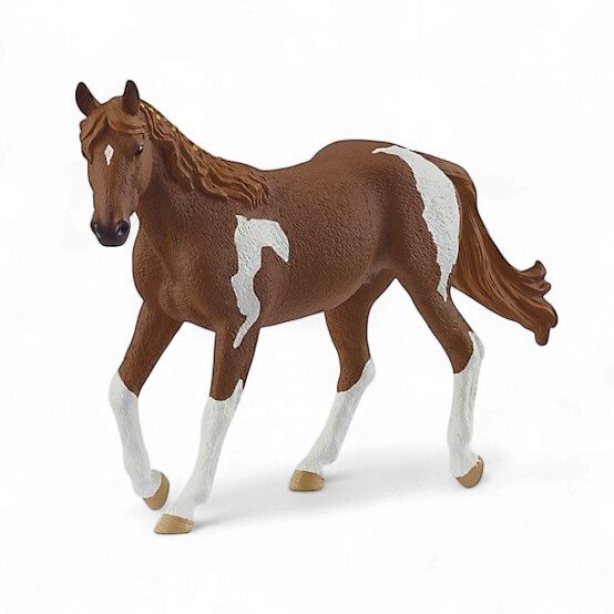 Paint Horse Mare (Palomino)