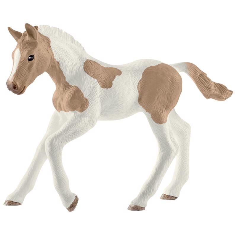Paint Horse Foal (Palomino)