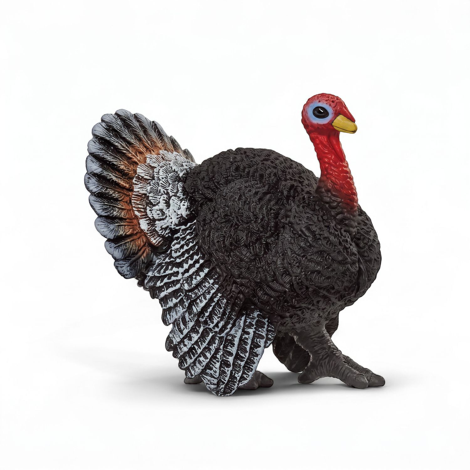 Turkey