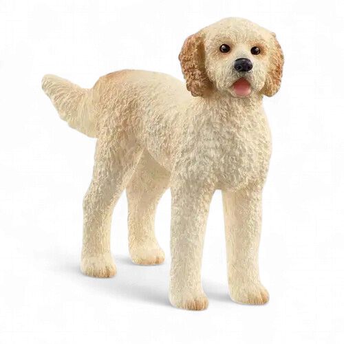 Goldendoodle