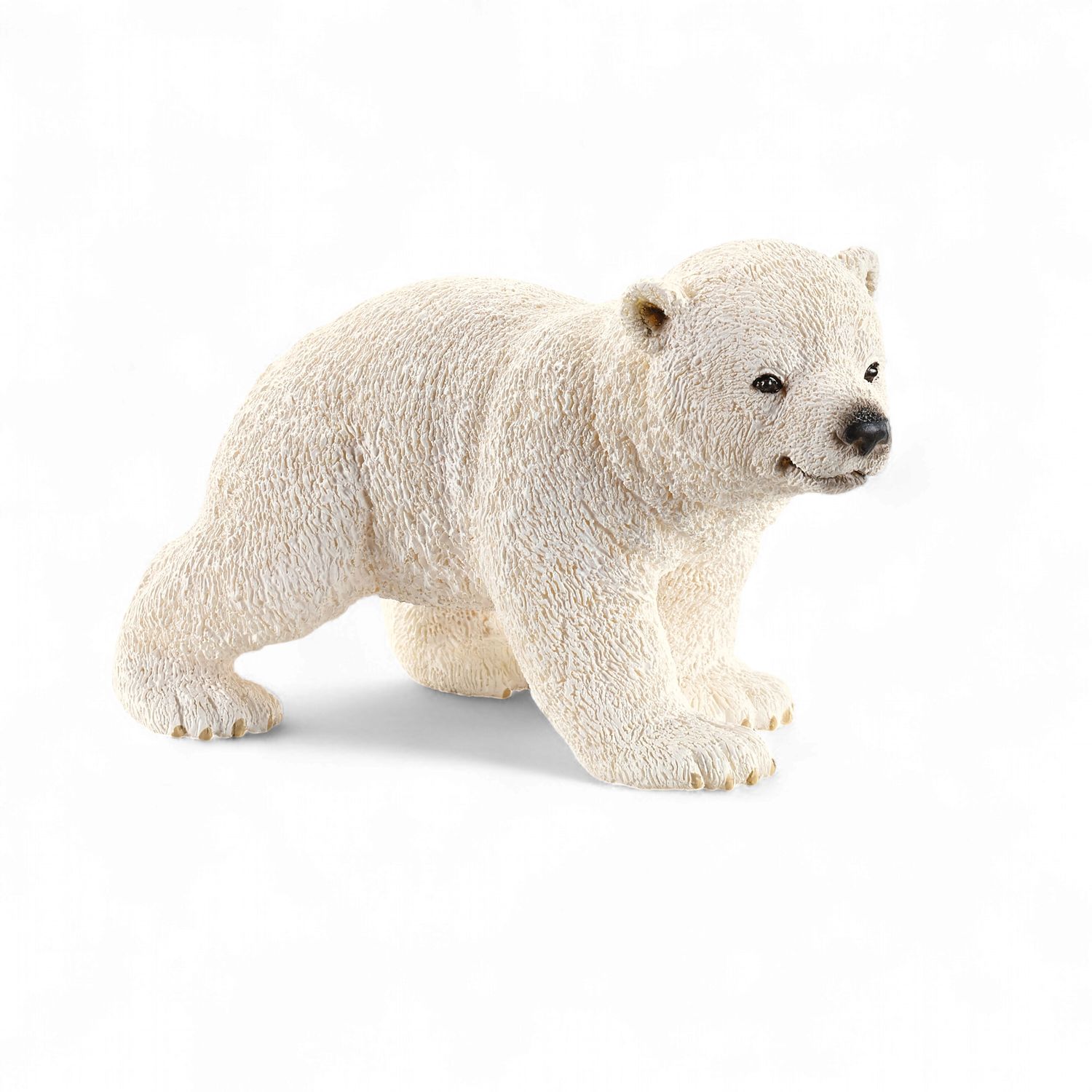 Polar Bear Cub