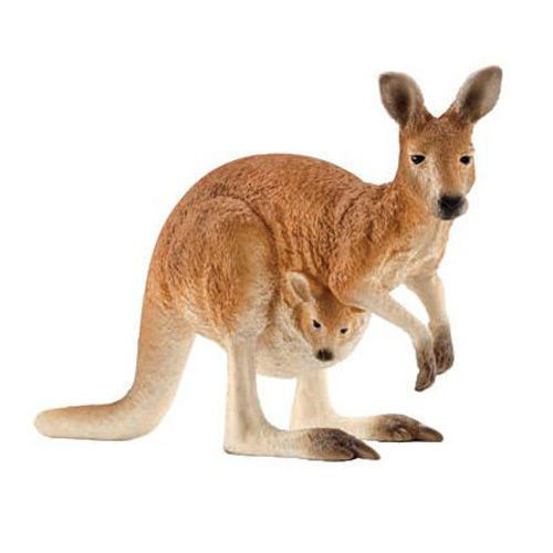 Kangaroo
