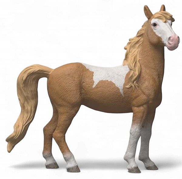 Mustang Mare