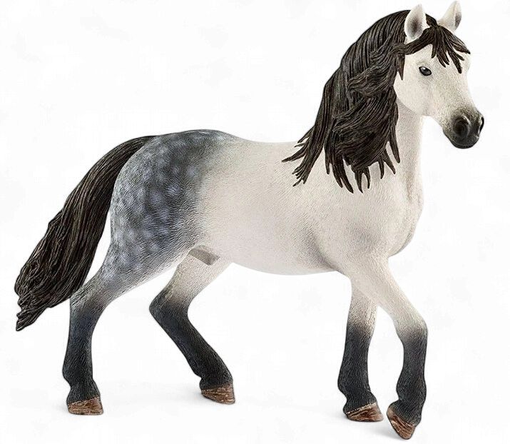 Andalusian Stallion