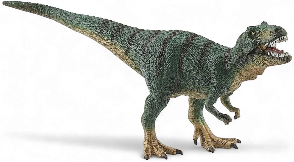 Tyrannosaurus Rex Juvenile