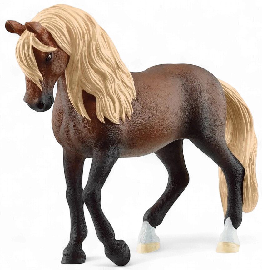 Paso Peruano Stallion