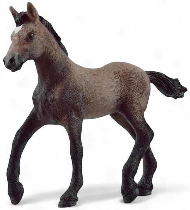 Paso Peruano Foal