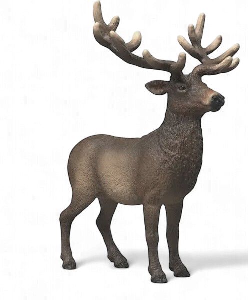 Elk