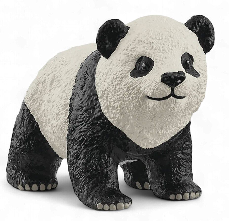 Giant Panda Cub