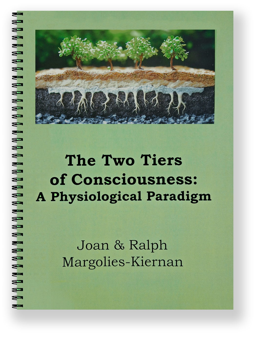 THE TWO TIERS OF CONSCIOUSNESS: A Physiological Paradigm