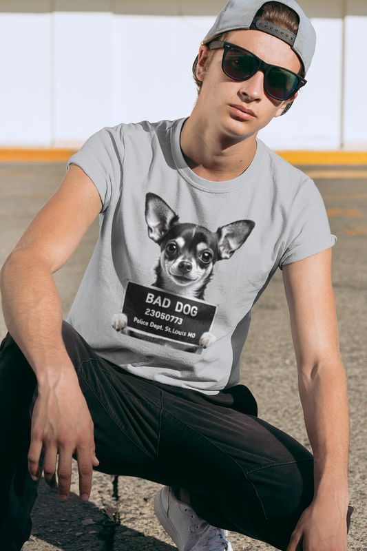 Bad Dog: Chihuahua Mugshot