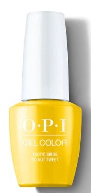 GC - EXOTIC BIRDS DO NOT TWEET