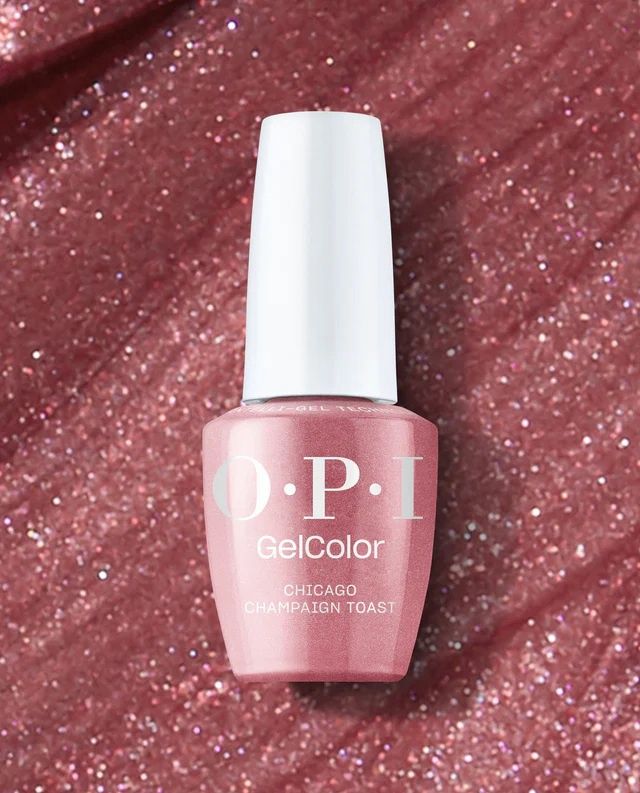 CHICAGO CHAMPAIGN TOAST INTELIGEL