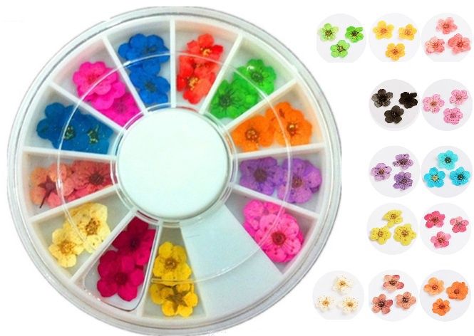 3D Dried Flower Nail Art Wheel