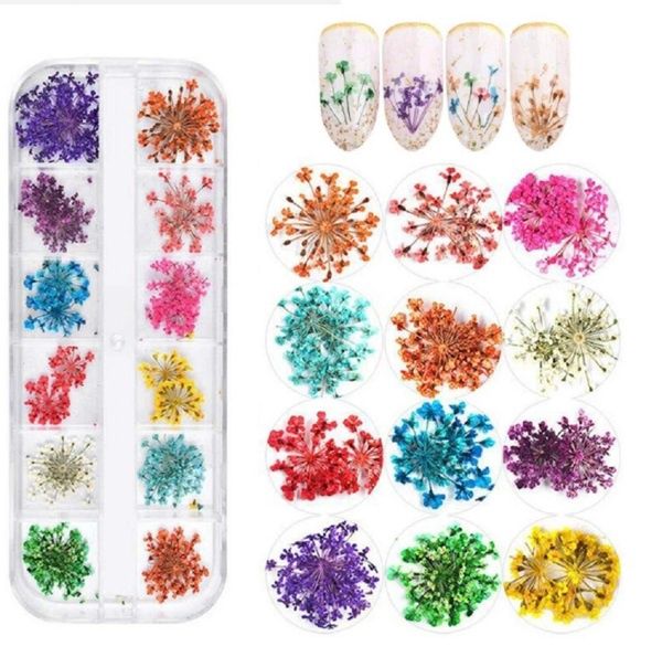 3D Dried Flower Nail Decoration Kit