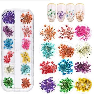 3D Dried Flower Nail Decoration Kit