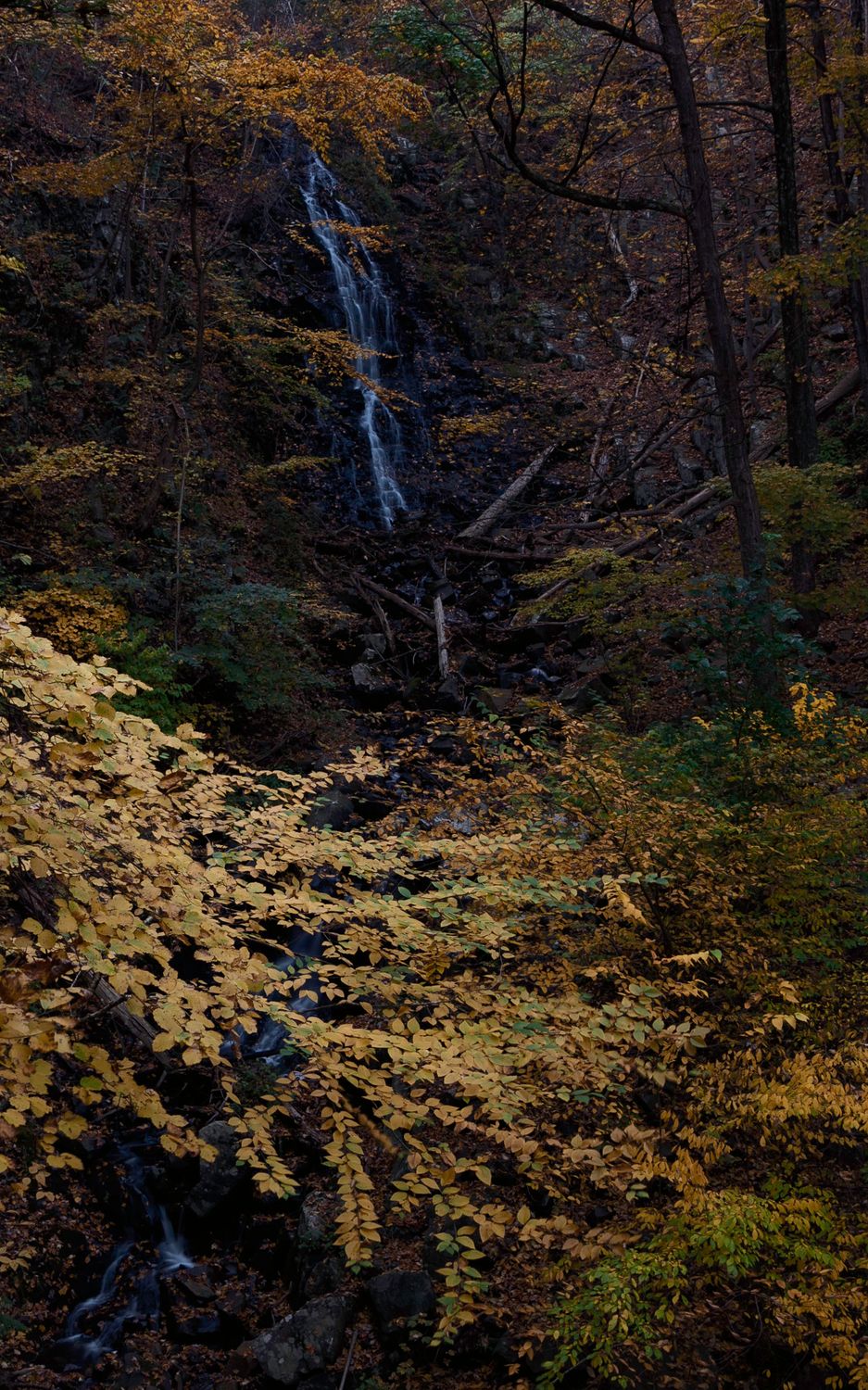 Roaring Brook Falls at Dusk