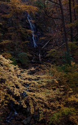 Roaring Brook Falls at Dusk