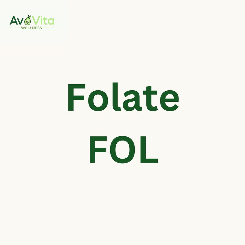 Folate - FOL