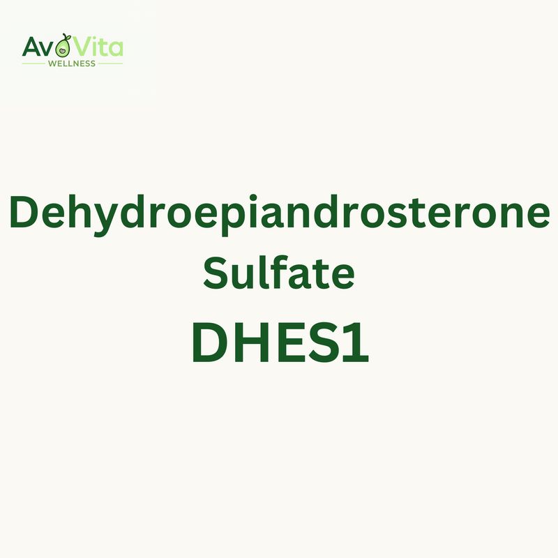 Dehydroepiandrosterone Sulfate - DHES1