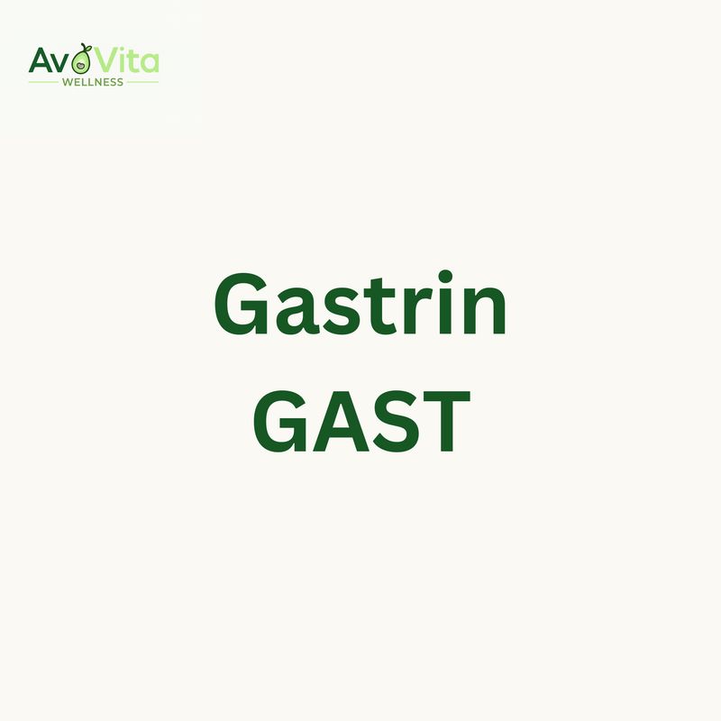 Gastrin - GAST