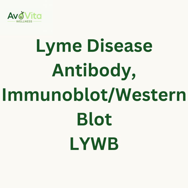 Lyme Disease Antibody, Immunoblot/Western Blot - LYWB
