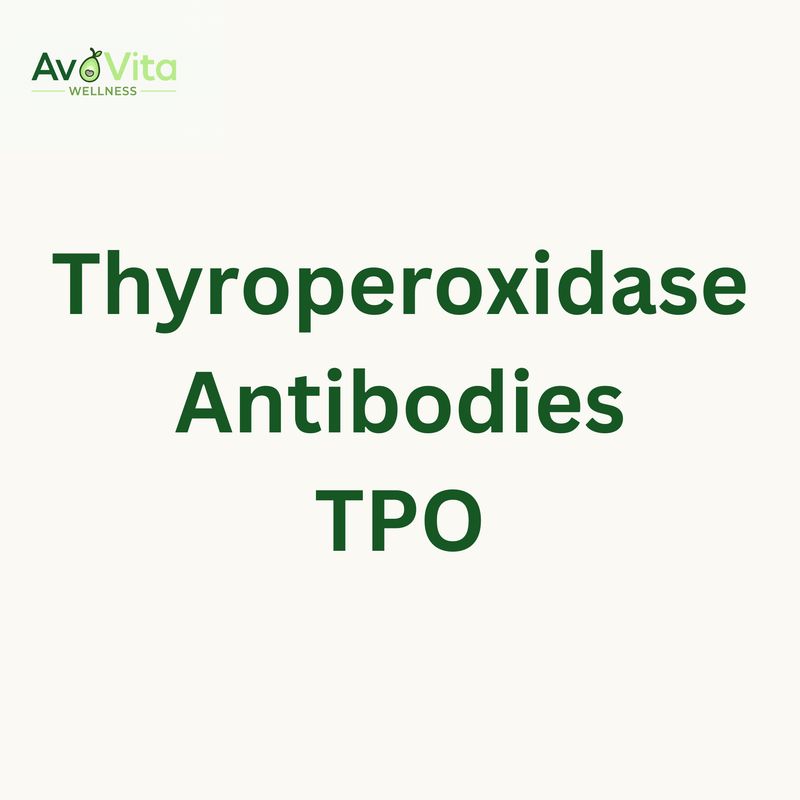 Thyroperoxidase Antibodies - TPO