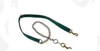 1" Nylon Lead W/O Ring, Chain &amp; 2 Snaps