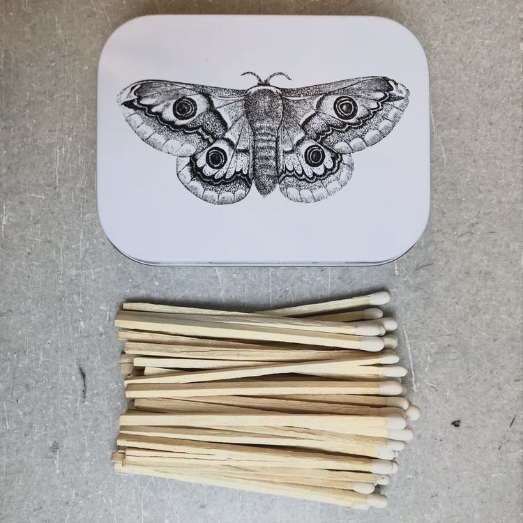 MOTH MATCH TIN