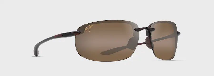 HOOKIPA X large tortoise