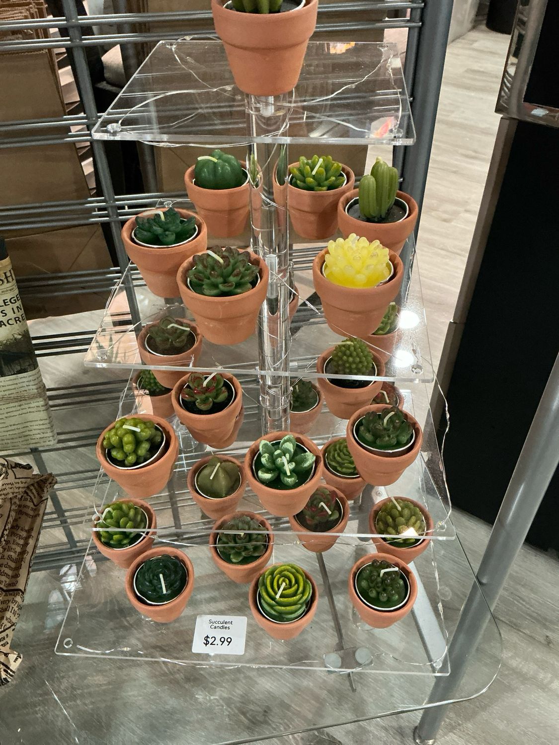 Succulent Votive Candle