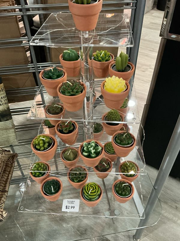Succulent Votive Candle