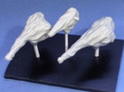 US 30 & 50 cal covered guns