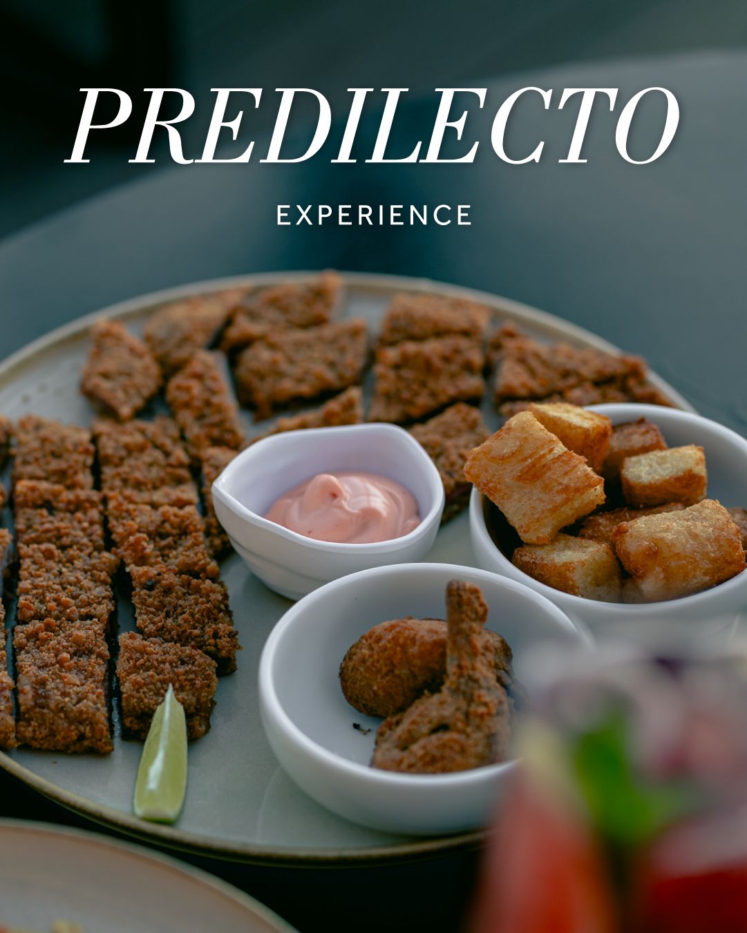 Predilecto Experience