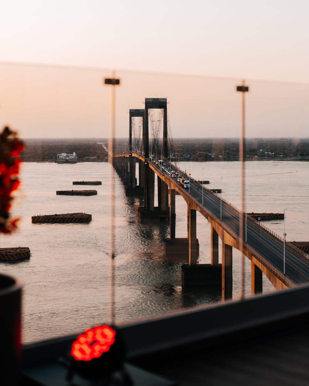 Predilecto Experience