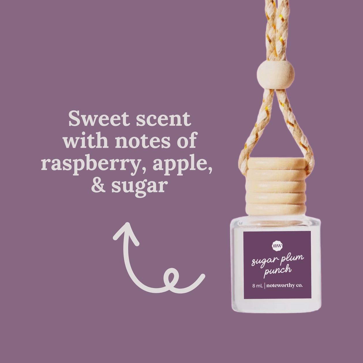 Sugar Plum Punch Car Diffuser
