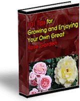 101 Tips For Growing and Enjoying Your Own Great Rose Garden