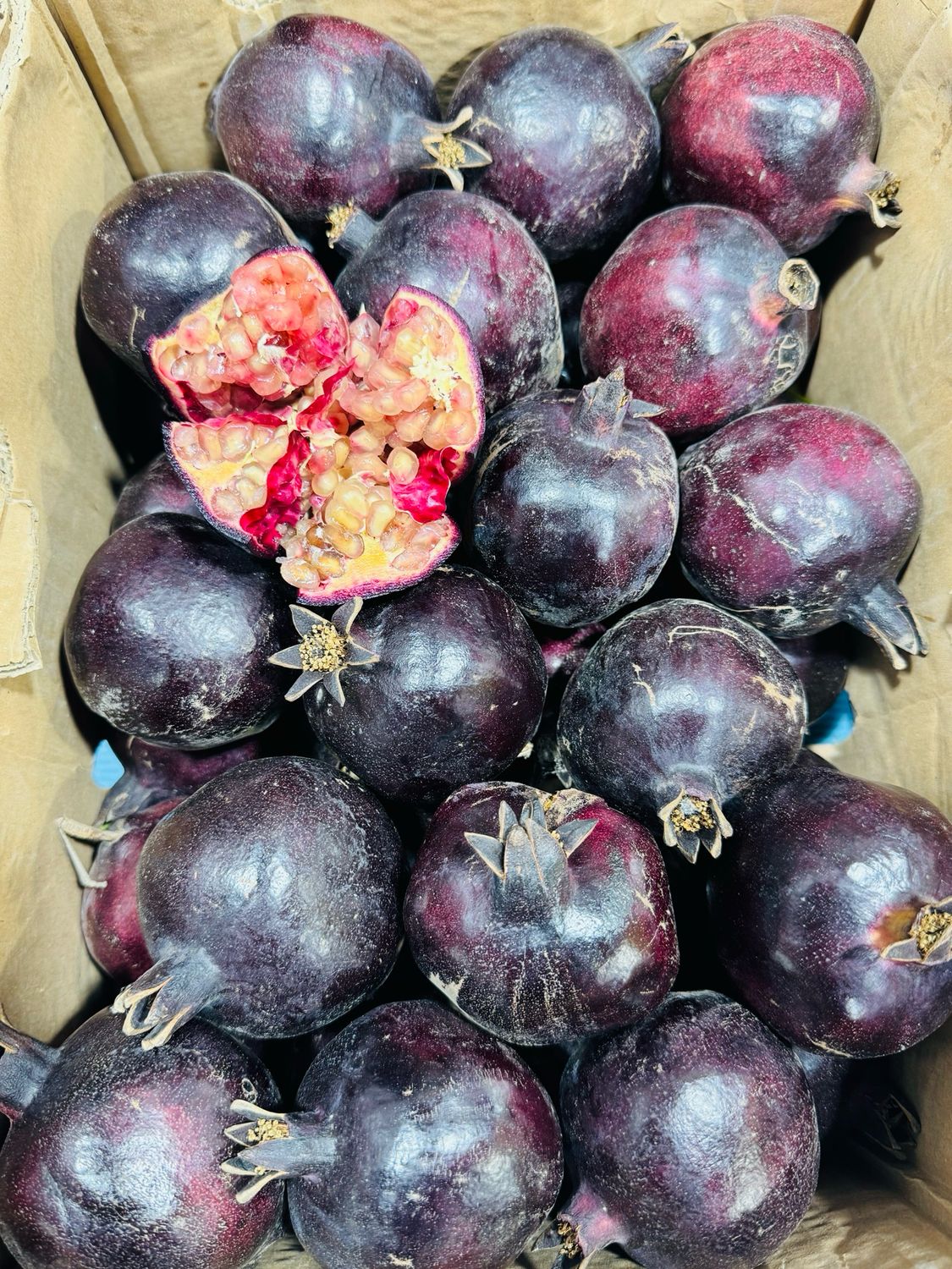 Black Pomegranate- انار سیاه