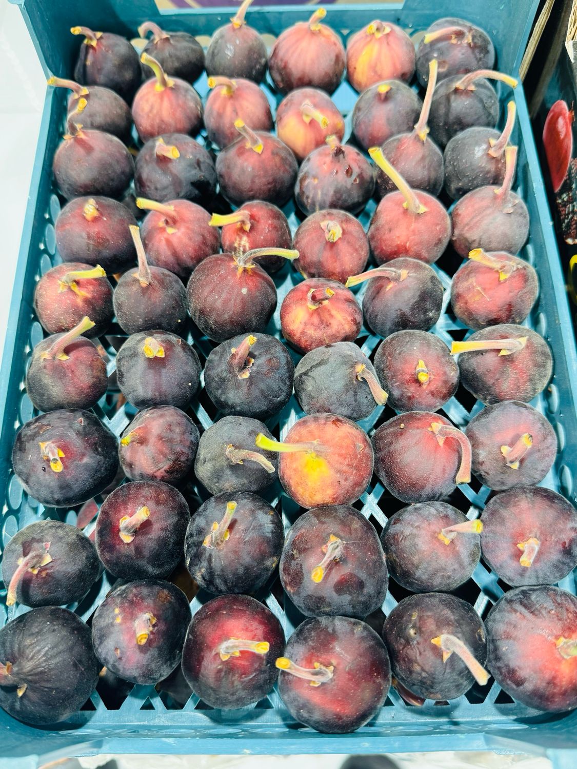 Black figs- انجیر سیاه