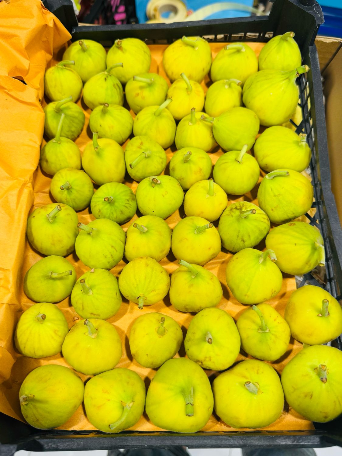 Yellow fig.انجیر زرد