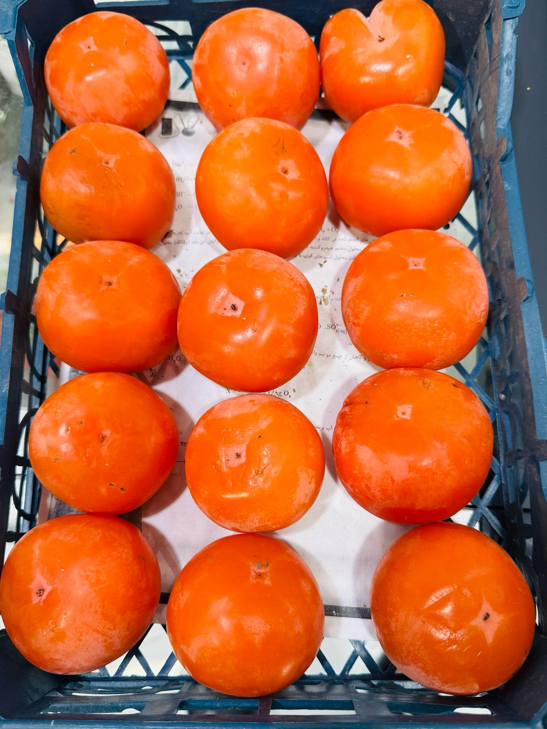 Persimmon. خرمالو